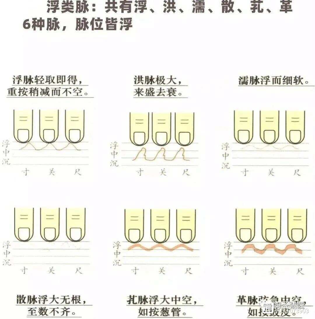 《伤寒论》脉法详解：从传统中医到现代医学的解读