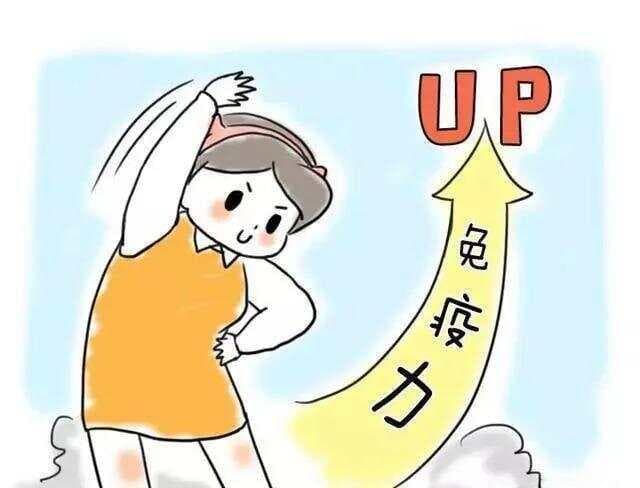 4个调节人体免疫力的中成药，一文总结