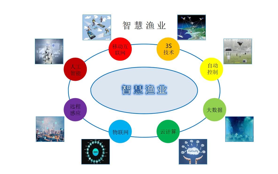智慧渔业：数字化转型中的科技人才挑战