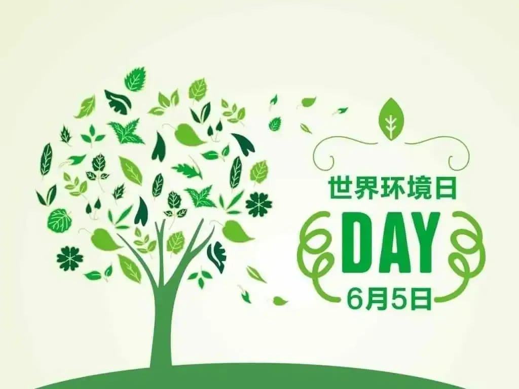 【世界环境日】捕鸟的代价：刑事责任+民事赔偿+公开道歉！