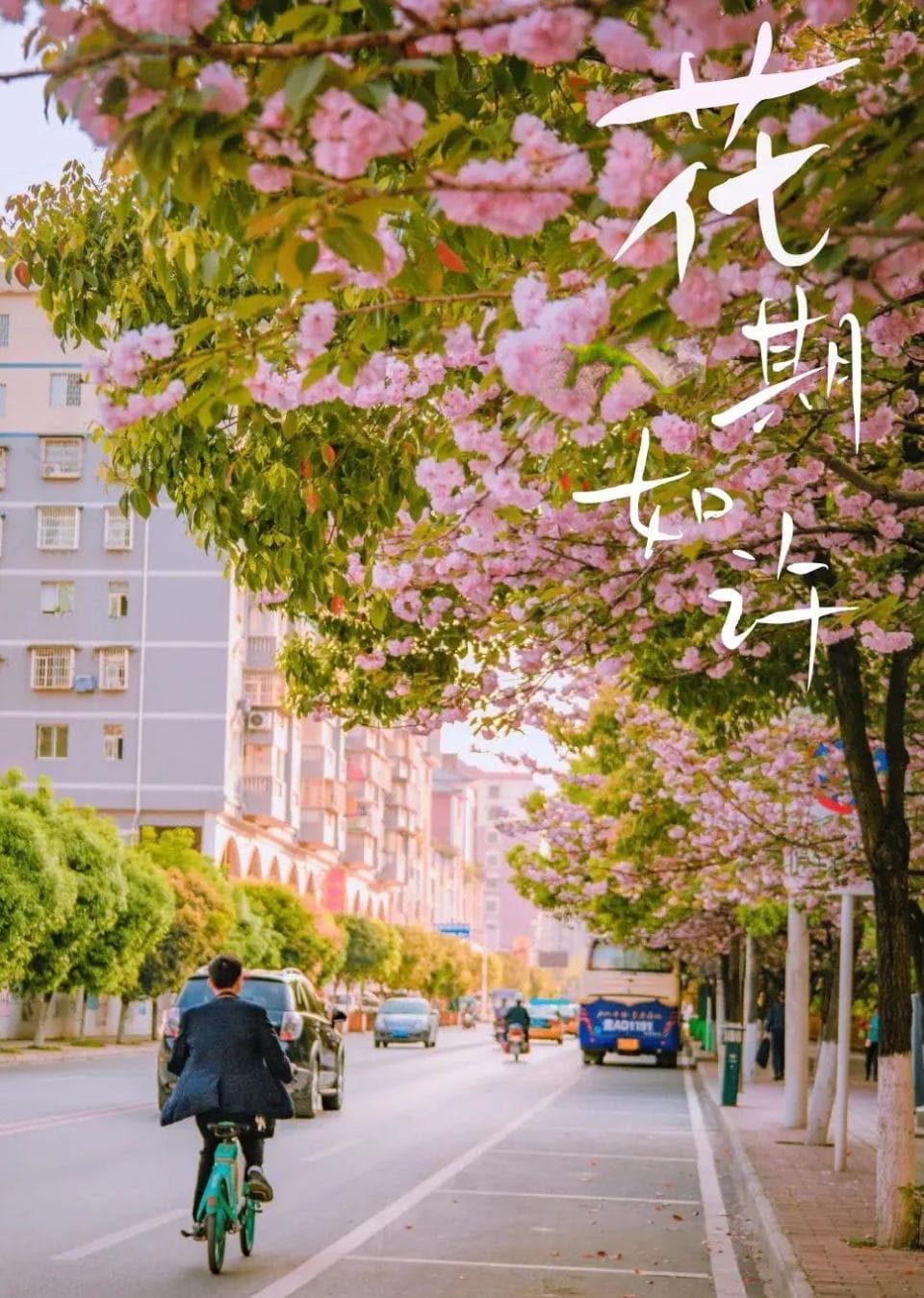 别眨眼！接下来的遵义，是这样的……