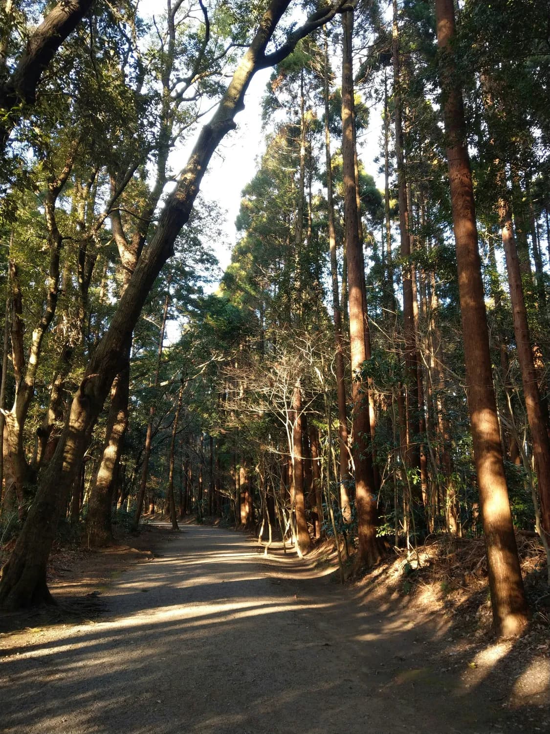 森口：一个词的多重世界