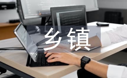 乡镇综合行政执法队的职责与实践