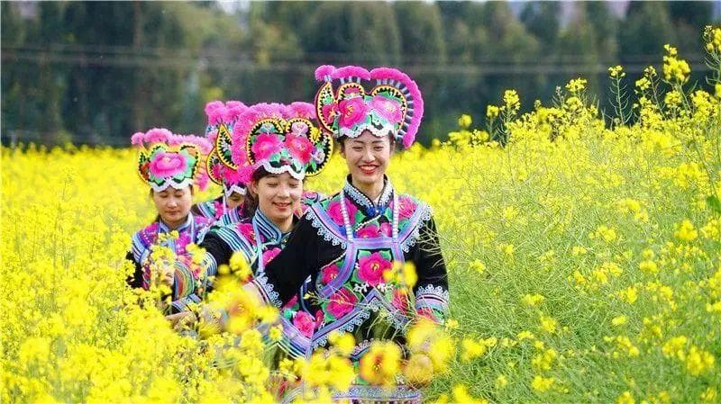 走进“中国阳光城”——永仁