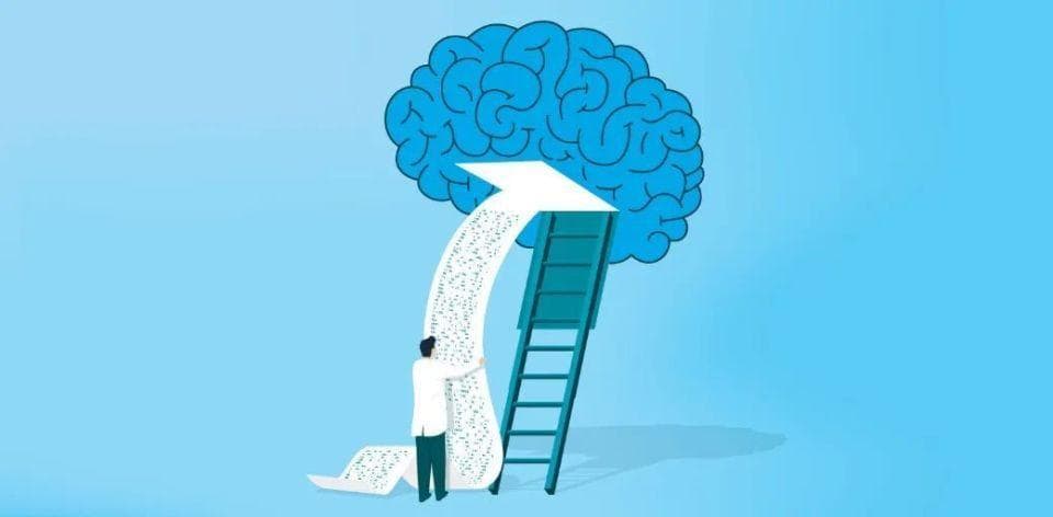 Nature Neuroscience：浙江大学李晓明团队发现恐惧和焦虑新机制