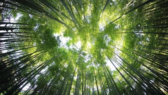 科技赋能：底层人民生活的变革与未来机遇的展望