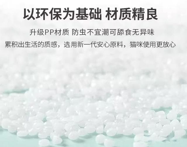 新手猫咪饲养指南