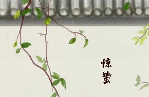 2024惊蛰在哪一天 节气中惊蛰的含义
