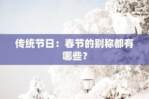 传统节日：春节的别称都有哪些？
