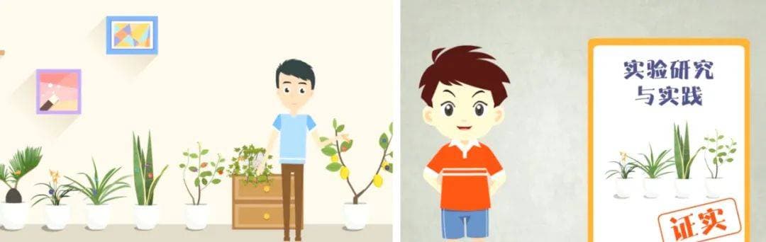 【环保科普】绿色植物能吸附室内空气污染物吗？