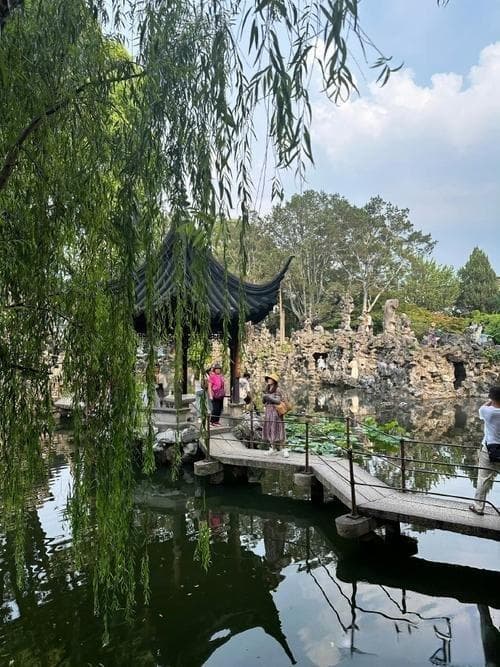 资料整理与分析：如何高效利用信息资源