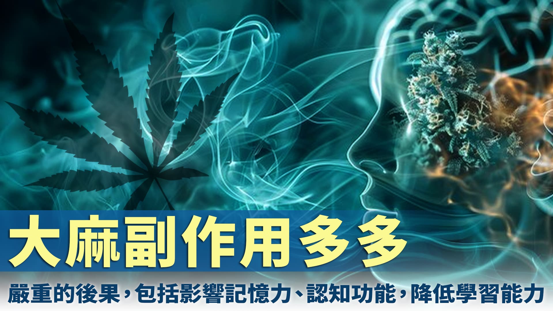 大麻的危害与法律处罚：从副作用到刑罚详解