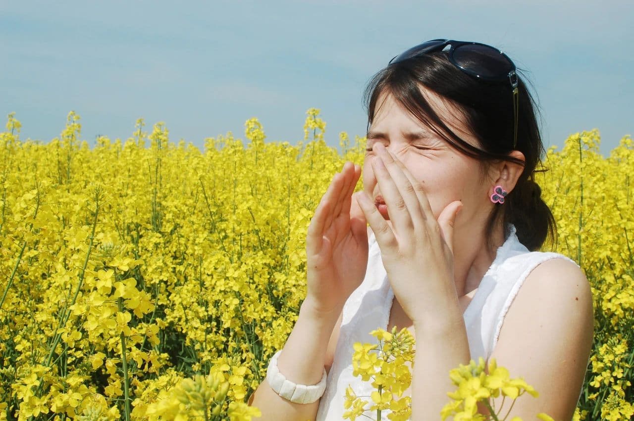 花粉季来袭！出现这些状况，千万别硬扛→