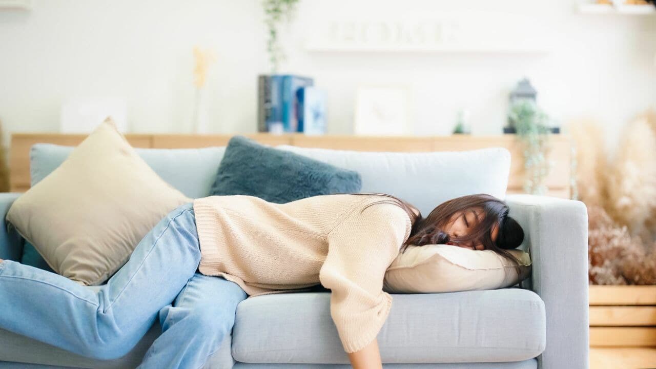 深入了解铁质的重要性：含铁食物、铁摄取量、缺铁症状