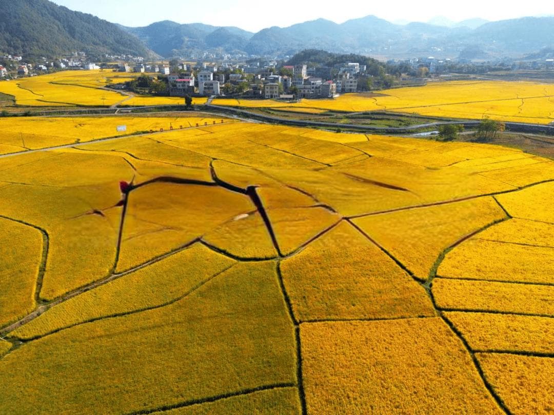 乡村振兴与乡村旅游深度融合：发展乡村旅游产业，打造特色美丽乡村