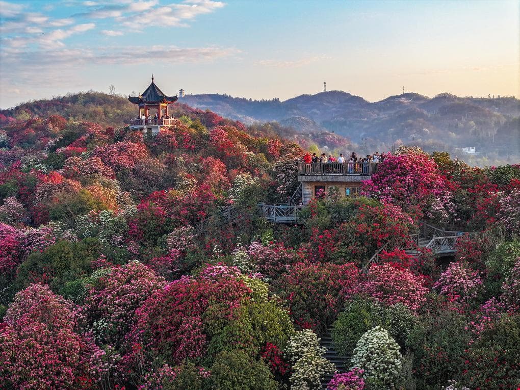 春天里的中国：花海茶香伴古风，春游新景象