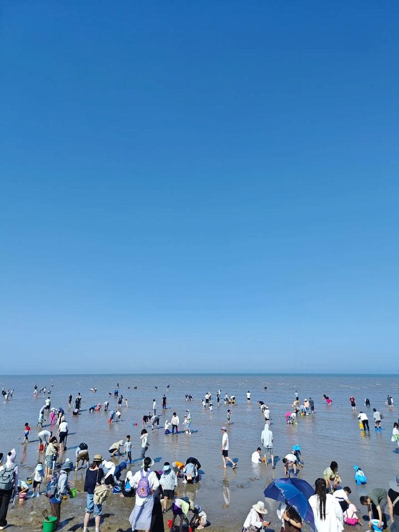 探秘天津塘沽：海边旅游景点全攻略！