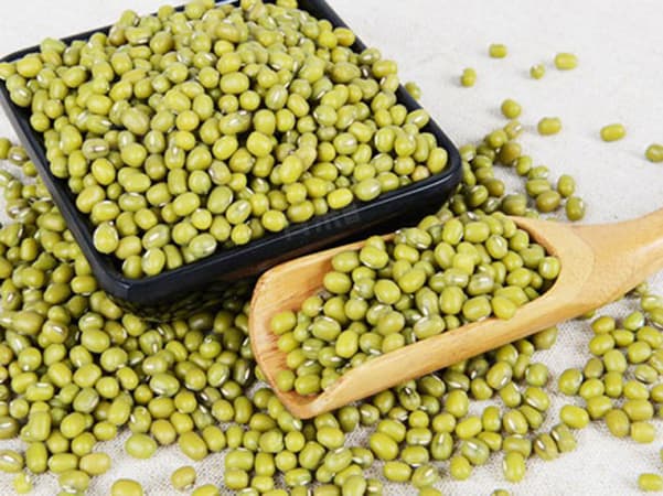 痛风患者能否食用绿豆？一文详解其嘌呤含量与食用建议