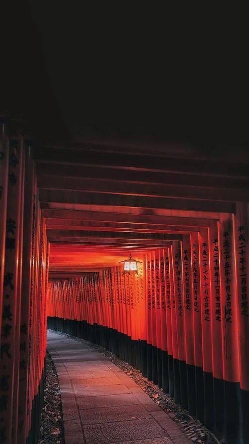历史长河中的社会变迁：从农业到工业再到信息时代