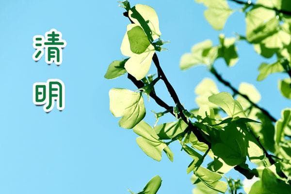 清明祭祖文范例，清明节祭词精选