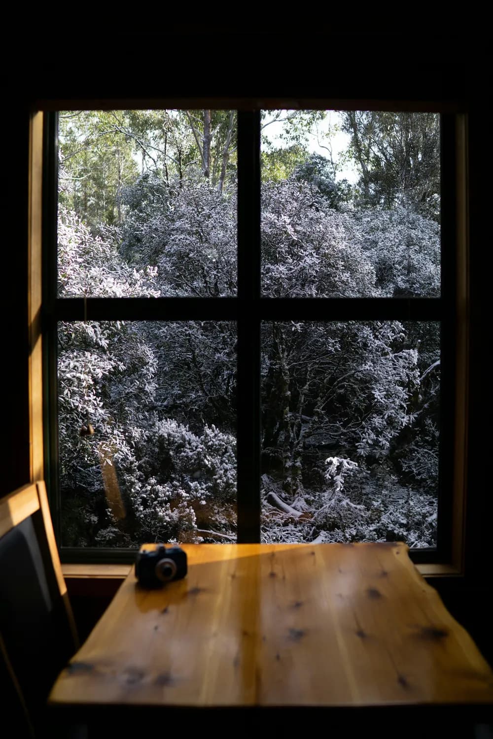 上海疾控推荐：秋冬季节科学除醛指南