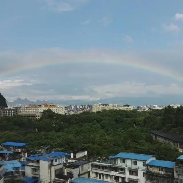 新华字典电子版：功能特色与使用体验全面解析