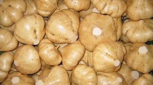 糖尿病病人能吃凉薯吗？专家解读食用注意事项