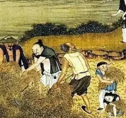 清朝耕地巨幅扩大的背后原因