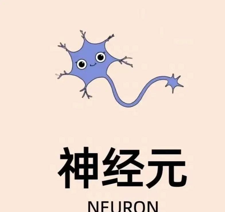 告别焦虑，从呼吸开始：四种呼吸法让你的大脑重获新生