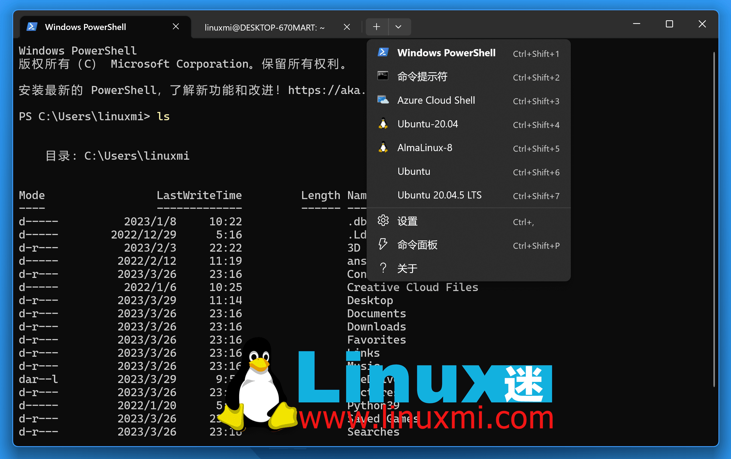 在 Windows 10 和 11 上使用 WSL 2 的 5 个最佳实践