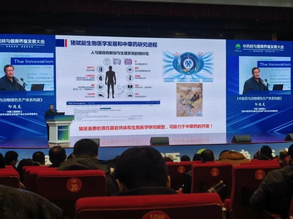印遇龙院士：中草药可解决抗生素引发的药物残留问题