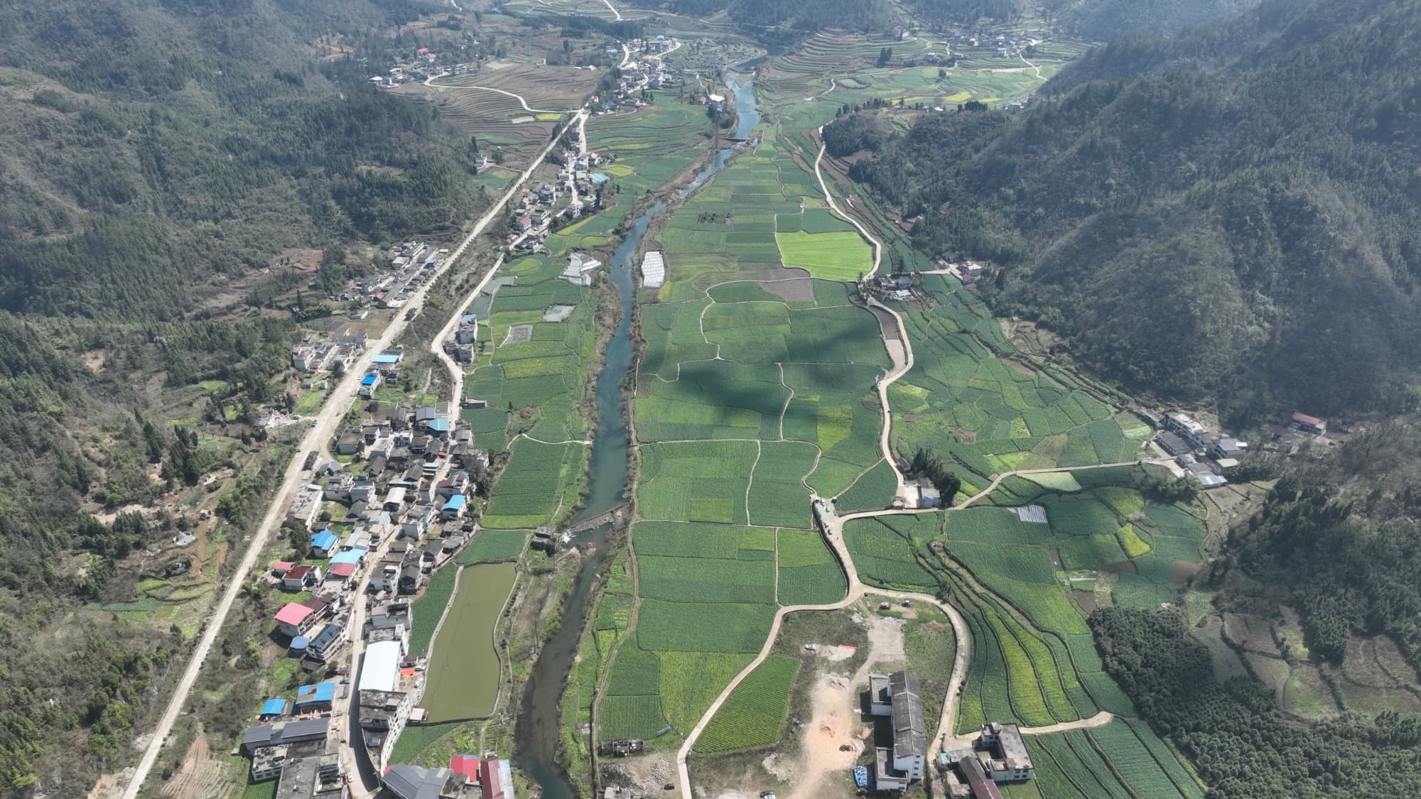 贵州麻江：油菜花开引客来 农旅融合促发展