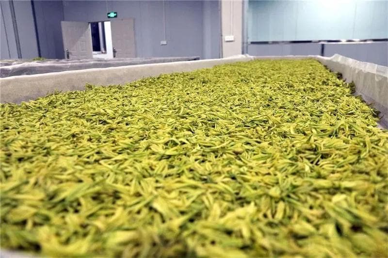 奉节：构建“五大体系” 升级“三带六特” 加快探索乡村振兴新路子