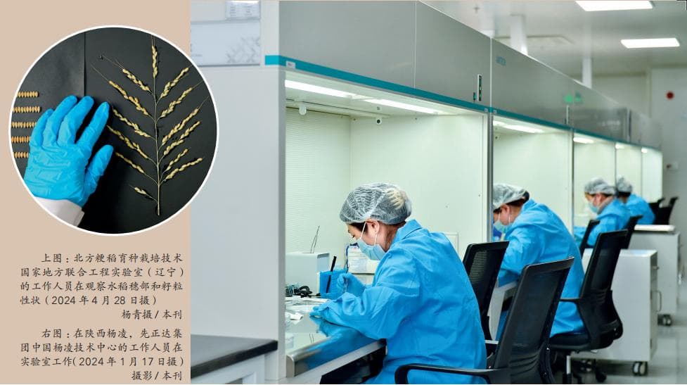 生物育种产业化按下快进键