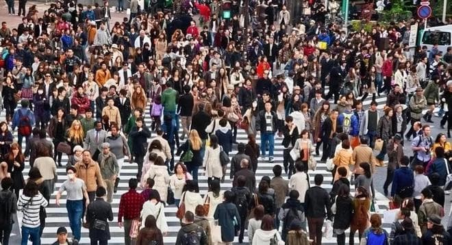 日本豆大点土地，人口密度是中国两倍，却能人人住别墅，凭什么？