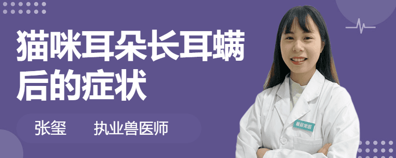 猫咪耳朵长耳螨后的症状