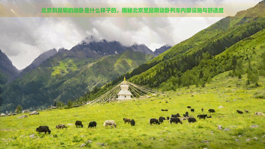 北京到昆明的动卧是什么样子的，揭秘北京至昆明动卧列车内部设施与舒适度