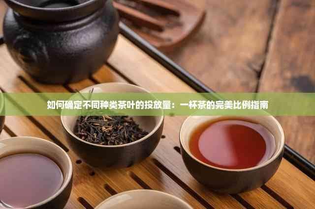 如何确定不同种类茶叶的投放量：一杯茶的完美比例指南