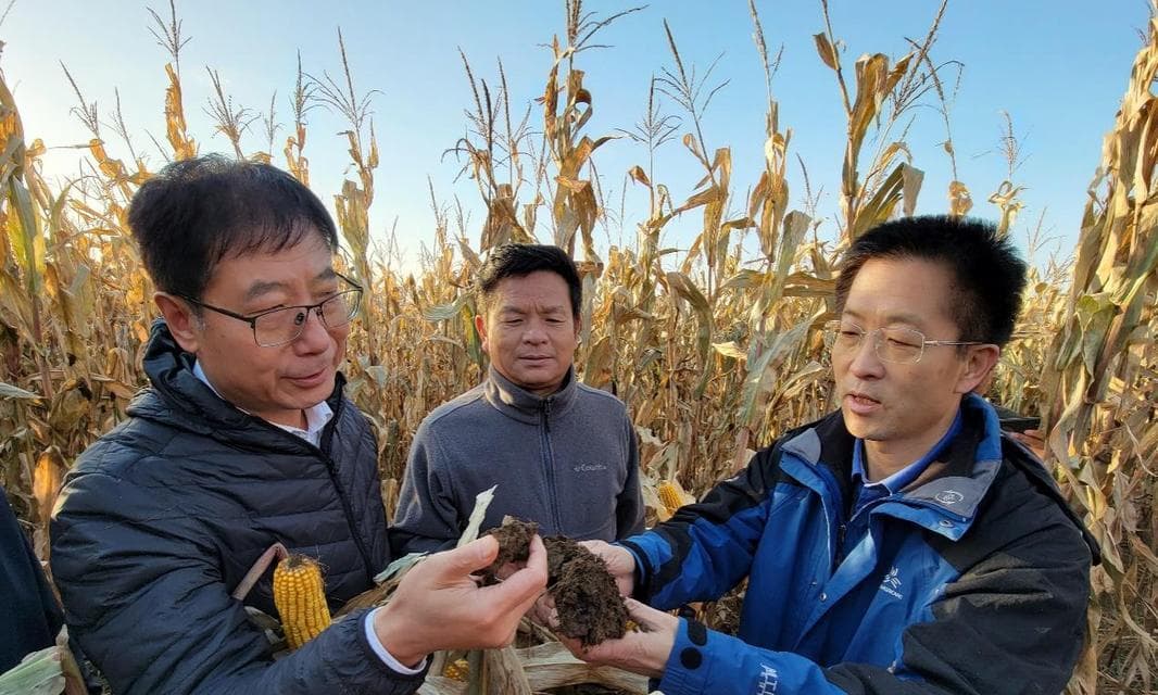 秸秆肥料的利用与回收（解析秸秆肥料的种类及施用技巧）
