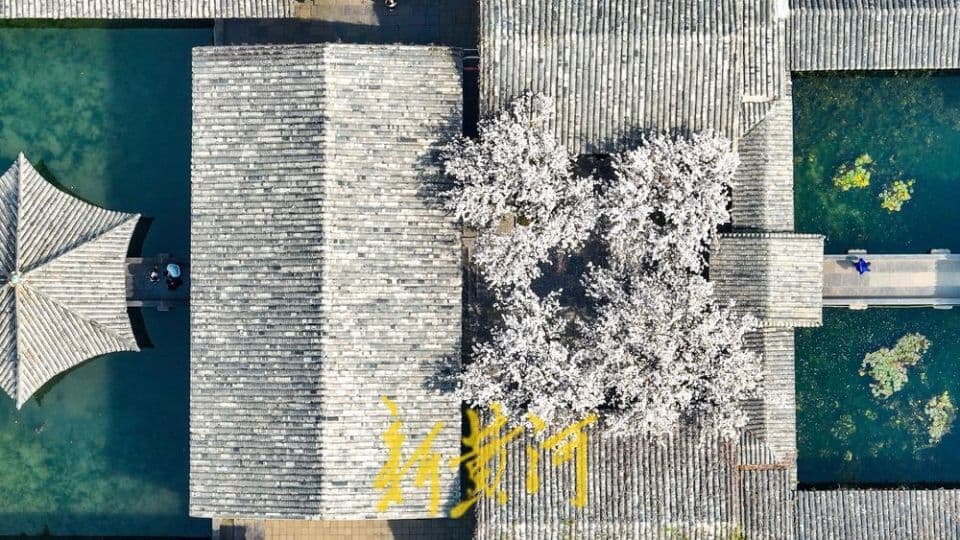 春天，启动一场盛大的文学互动 | 阅读日