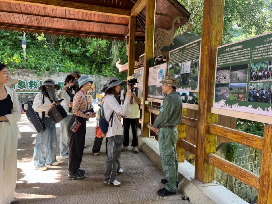 野象谷何以持续发展？探究生态环境背后的生态考量