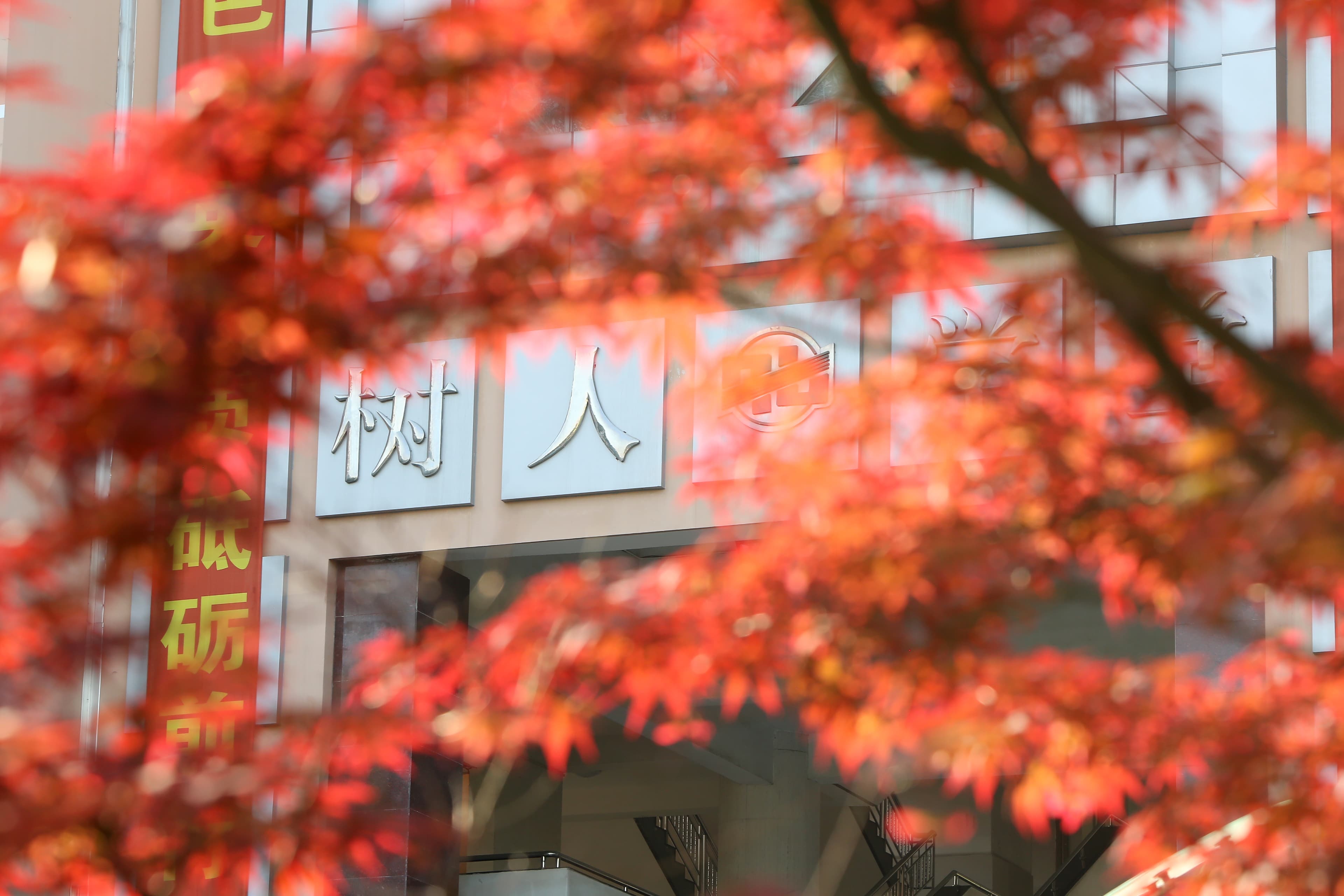 上海市七宝中学：一所具有深厚人文底蕴的高品质研究型高中