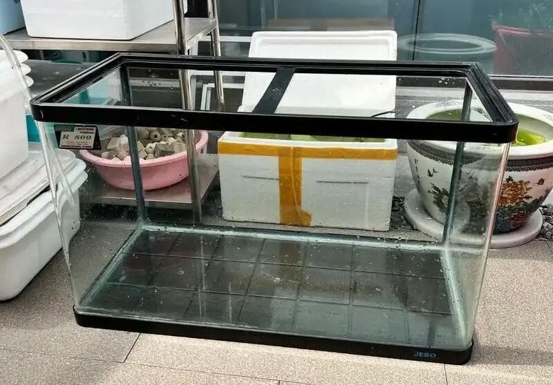 养鱼新手鱼缸选择指南：这三种鱼缸绝对不建议购买