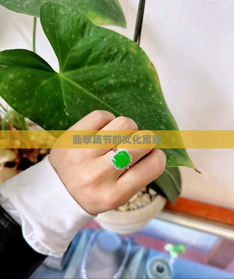 翡翠藕节的文化寓意