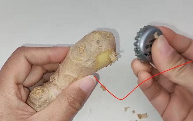 生姜皮还在手抠？这种快速去皮法，简单实用不脏手