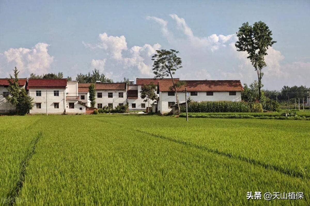 当前农村发展最重要的问题是什么