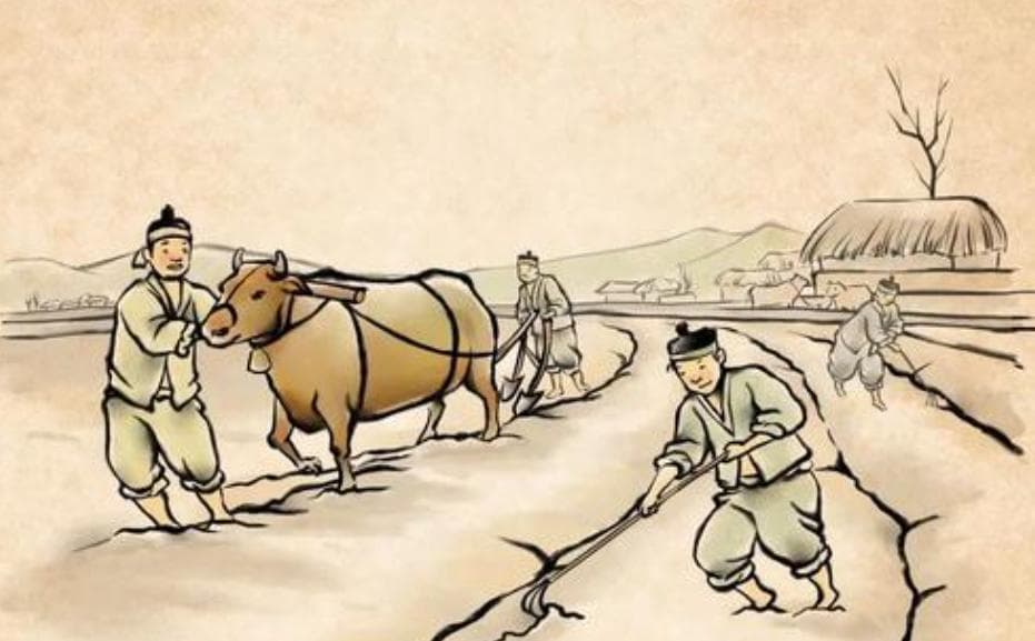 如何强化学习方法