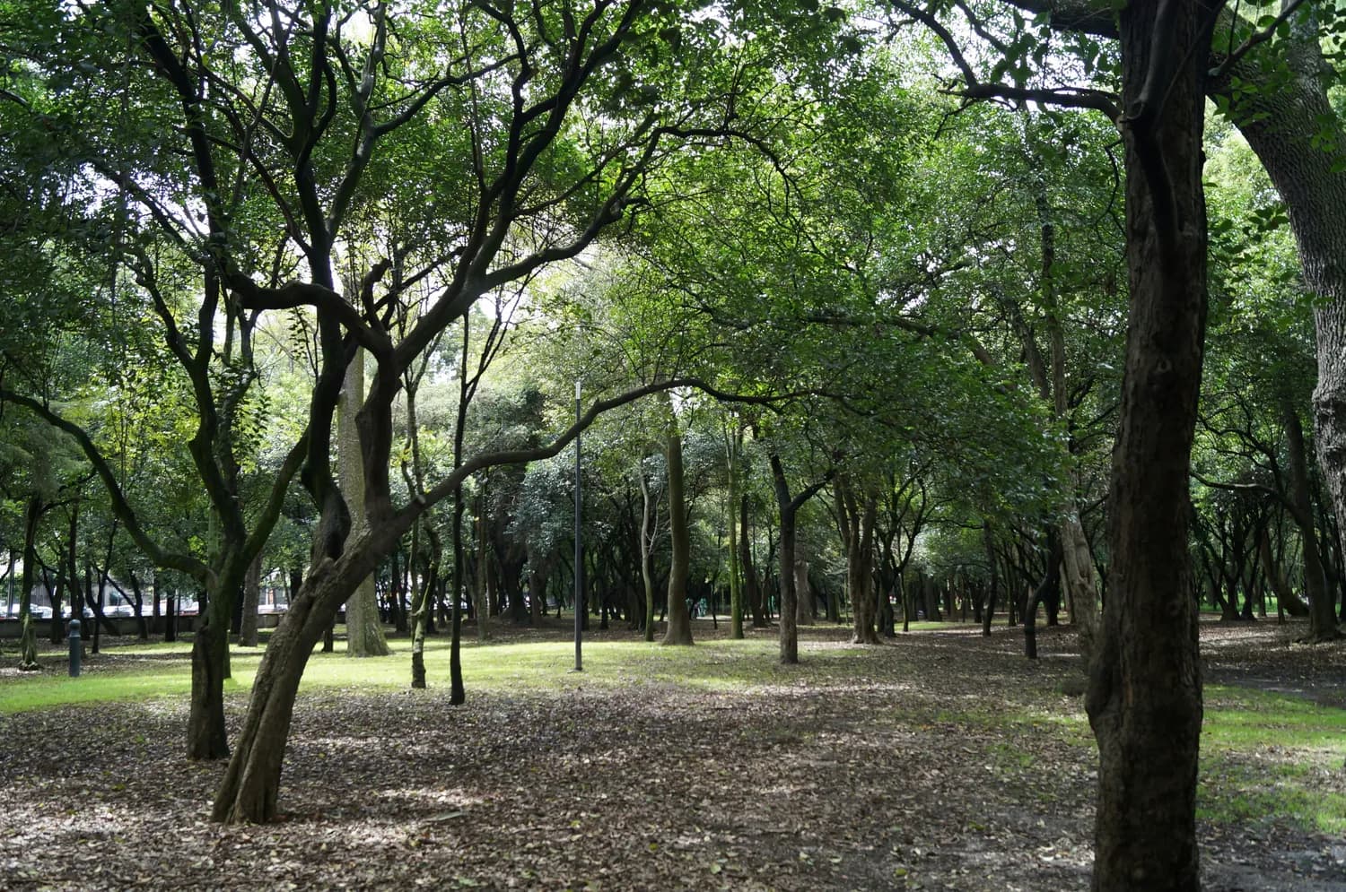 上海宠物友好景点大集合，带毛孩子嗨翻天！