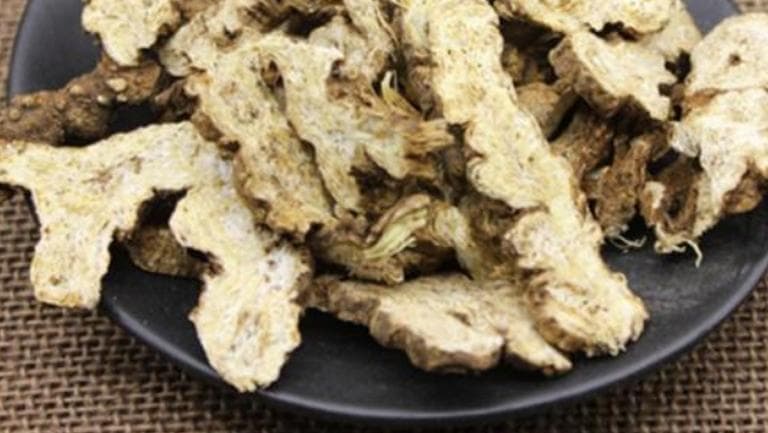 苍术的功效与作用、禁忌和食用方法