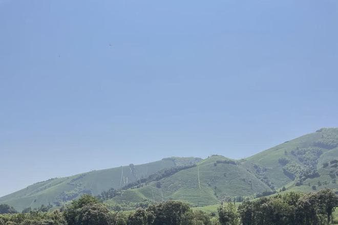 安吉打造产业“新名片”：推乡村振兴质效提升